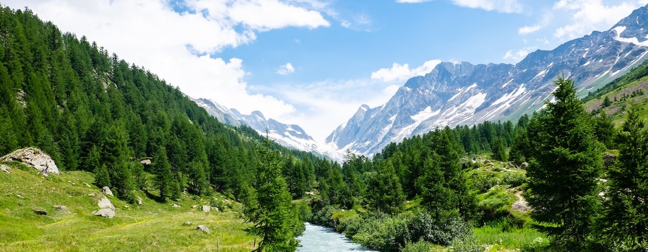 A green valley with a river cutting through the middle. White snowy peaked mountains are in the background.